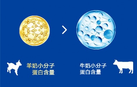 进口奶粉排名前十有哪些品牌？佳贝艾特新悦白吸收低敏营养全！